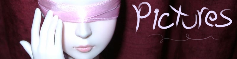 A banner of a photograph of a blindfolded doll face with the doll hand reaching up to touch the blindfold. To the side is the word "Pictures".