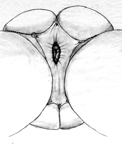 Drawing. An upskirt view of a woman with unnaturally stretched genitals being spread wide with piercings and chains.